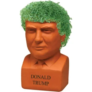 chia-trump