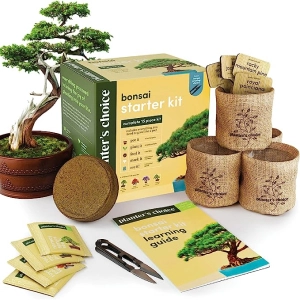 kit-iniciacion-bonsai